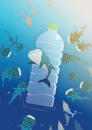 Whale shark lay on a plastic bottle surrounded by its ocean companions in a sea of rubbish.