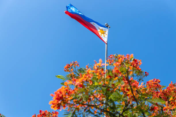 istock Philippines National flag with flower 1318265799