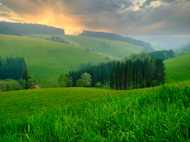 istock Panoramic view. Prairies and mountains in the Black Forest, Germany. Dramatic sunsets and mists. 1318273571