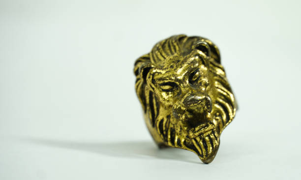 istock ring in lion icon golden color on white background 1318277525