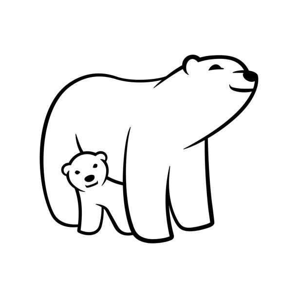 полярный белый медвежонок мать улыбается вектор иллюстрации - polar bear young animal isolated cub stock illustrations