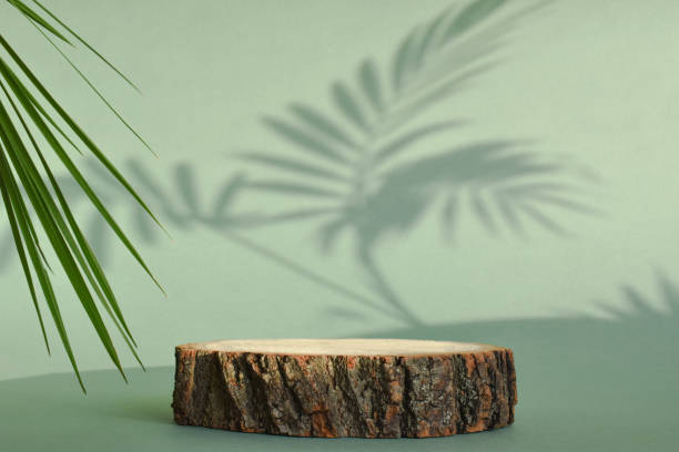 Podium for product presentation. A minimalistic scene of a felled tree lies on a green background with the shadow of a palm tree. Prerequisites for branding. Podium for product presentation. A minimalistic scene of a felled tree lies on a green background with the shadow of a palm tree. winners podium photos stock pictures, royalty-free photos & images
