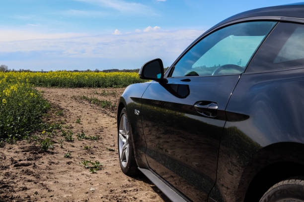 vista laterale sinistra su un'auto sportiva ford mustang nera modello 2018 di fronte a un campo di semi oleosi gialli con cielo blu e alcune nuvole - left field foto e immagini stock