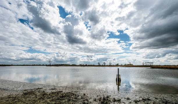 Lake on Tiengemeten Tiengemeten is een eiland in het Haringvliet, een natuurgebied op de grens van de Nederlandse provincies Zuid-Holland en Zeeland. tiengemeten stock pictures, royalty-free photos & images