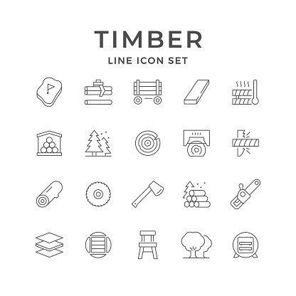 Set line icons of timber industry isolated on white. Drying process, board or plank, log trailer, pine tree, chainsaw, log or beam, wood cutting, sawmill, lumber business. Vector illustration