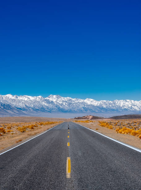 istock Landscape with a highway and mountains. 1318290901