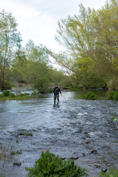 young angler in the middle of the river with a fishing rod and appropriate clothing for the sport wading in the stream in search of fish to catch with copy space - human arm men open wading imagens e fotografias de stock