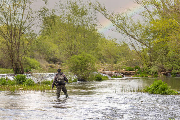 fisherman on his back with camouflage suit and high rubber boots wading the river with fishing rod in a stream with a small waterfall and mountains in the background with selective focus - human arm men open wading imagens e fotografias de stock