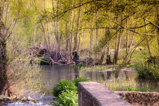 two young anglers with fishing clothes and rod wading the stream or river with high rubber boots in the middle of the nature with selective focus - human arm men open wading imagens e fotografias de stock
