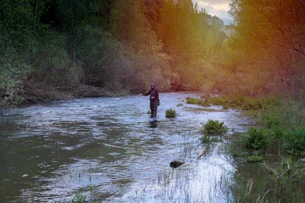 portrait of a fisherman wading the river with a fishing rod in a sunset with the sunlight illuminating the trees and nature giving color effect to the photograph with copy space and selective focus. - human arm men open wading imagens e fotografias de stock