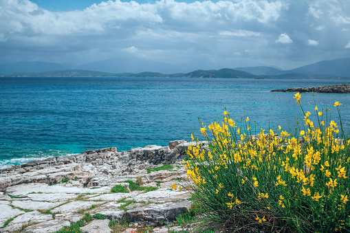 Beautiful summer landscape with sea lagoon, rocks and cliffs, green grass and yellow flowers on the coast, mountains on the horizon and clouds on the sky