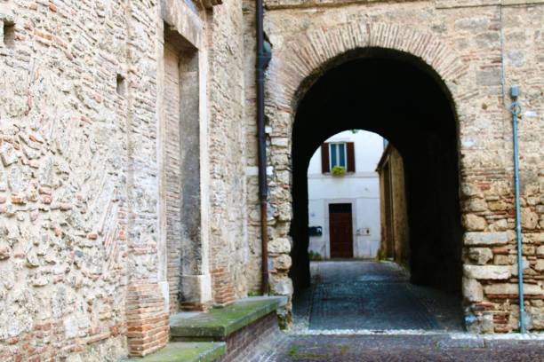 istock Old enterance of old city in italy 1318299539