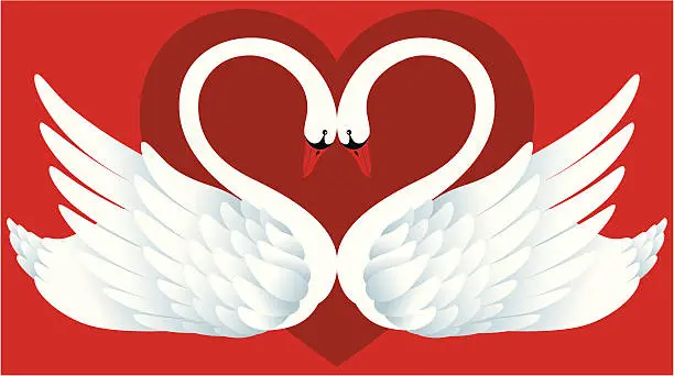 Vector illustration of Two Swans in Love