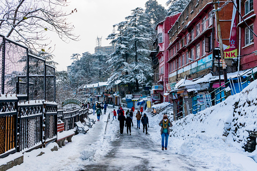 October to February: This is again a popular season for Shimla for people who are looking for snow, which typically falls between December and February. This is the time skiing and ice skating take off. The average temperature during this season is around 8°C and goes down to -2°C.