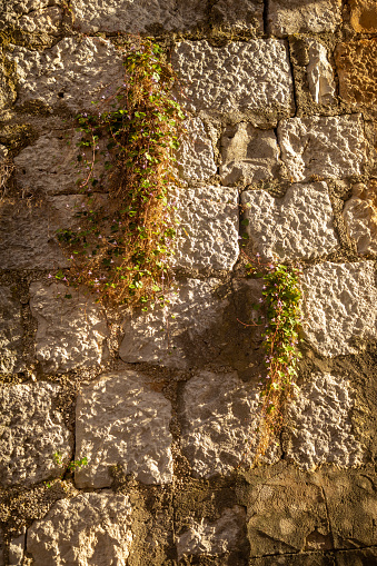 Buildings in Milna on Brac island, Dalmatia in Croatia