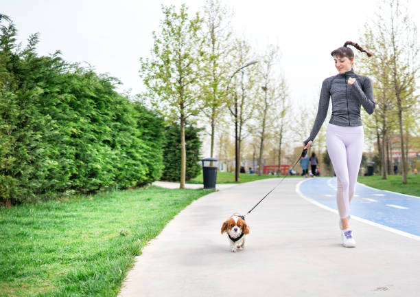istock Young woman going for a daily jogging 1318304394