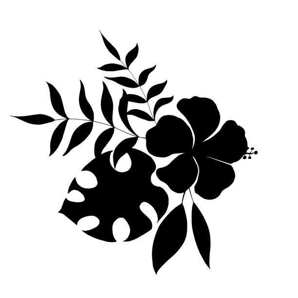4,807 Tropical Flower Silhouette Stock Photos, Pictures & Royalty-Free  Images - iStock