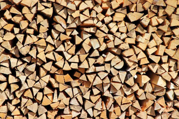 Pile of chopped wood materia