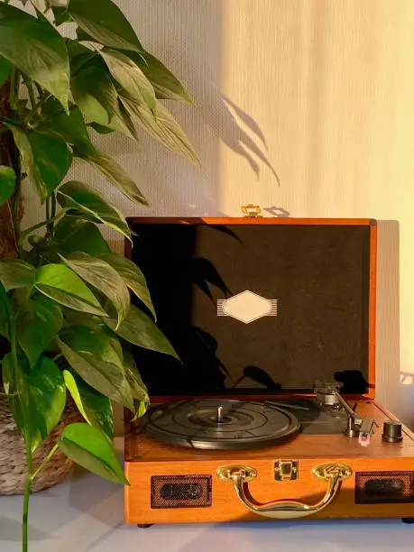 A retro looking record player made of wood can be seen in the picture. A plant is on the left side of the the player and golden light is shining onto it.