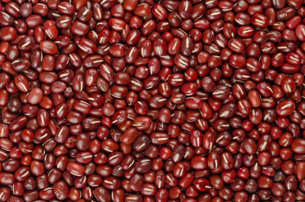 adzuki beans, also azuki or red mung beans, background, from above - adzuki bean imagens e fotografias de stock