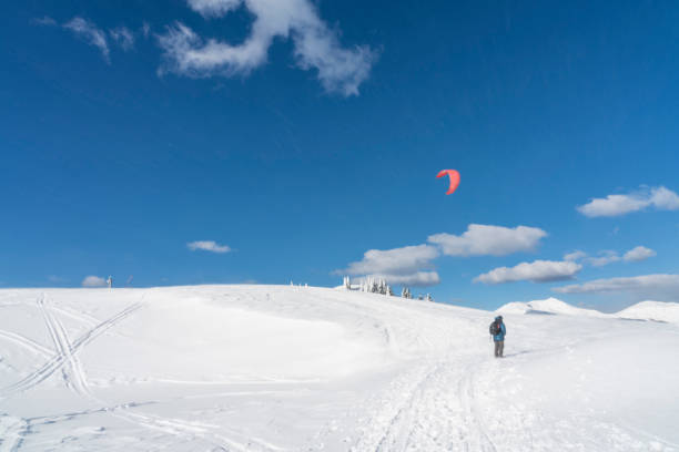 istock Men at Big Pasture Plateau, Velika Planina in winter 1318310577