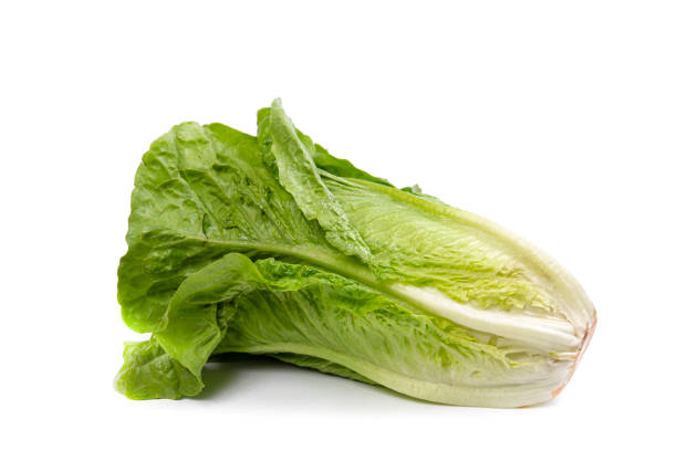 istock A head of fresh lettuce lies on a white isolated background. 1318310639