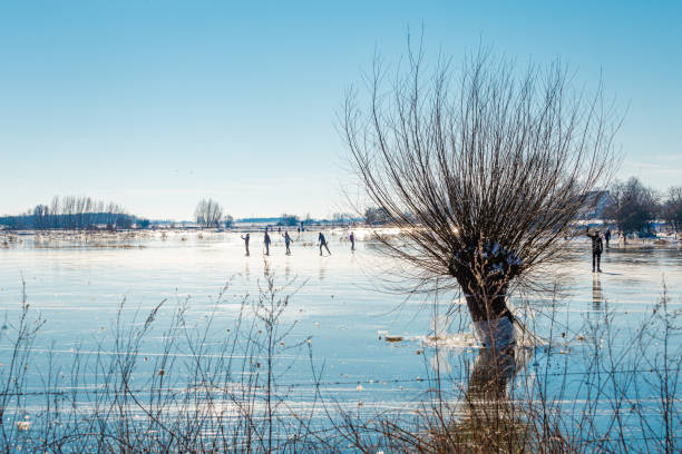 istock Frozen floodplains in the Netherlands during winter 1318310719