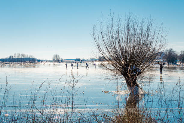 frozen floodplains in the netherlands during winter - polder field meadow landscape imagens e fotografias de stock