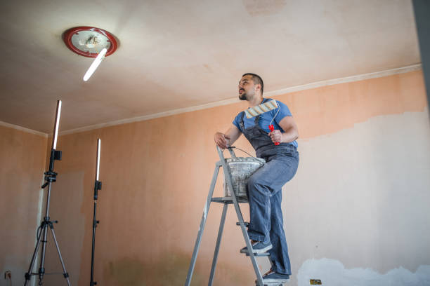 istock Painter looking at the ceiling lights and standing on ladder 1318311704