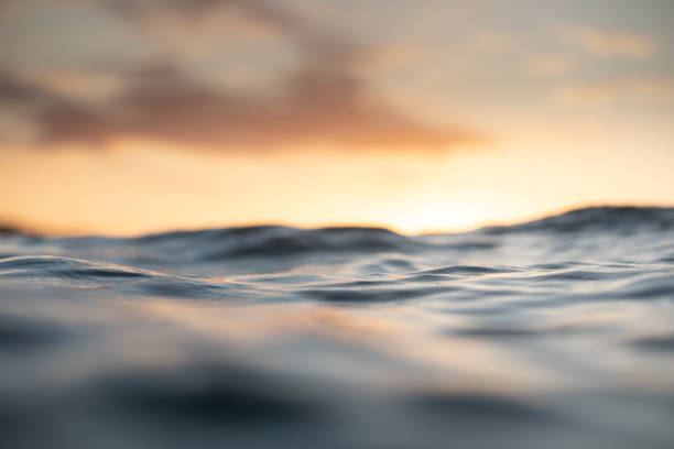 istock Waves in the ocean at sunrise or sunset 1318312519