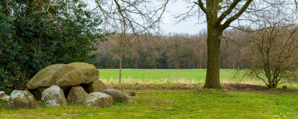 Concrete blocks once used as artillery targets in a former military training area. The photo was taken at Kalvebod Fælled, a former seabed that has become a large public nature area located just 20 minutes from Copenhagen’s City Hall Square.