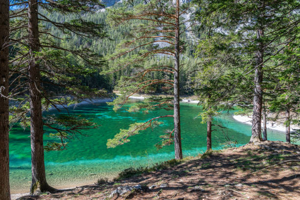istock Green Lake ( Grüner See ), Styria, Austria 1318317988