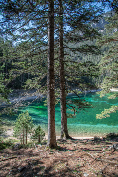 istock Green Lake ( Grüner See ), Styria, Austria 1318318036