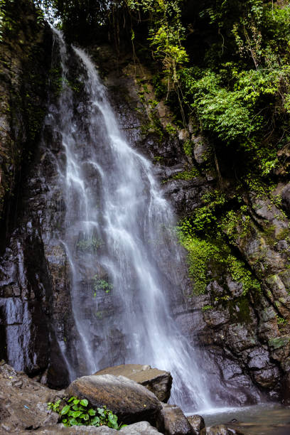 istock Sadu Chiru Waterfall/ Leimaram, Manipur 1318318173