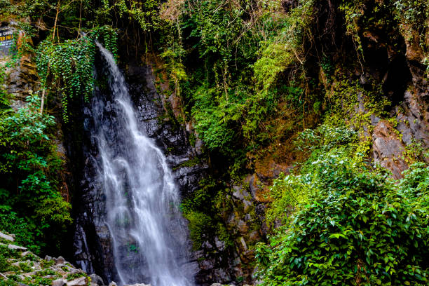 istock Sadu Chiru Waterfall/ Leimaram, Manipur 1318318345