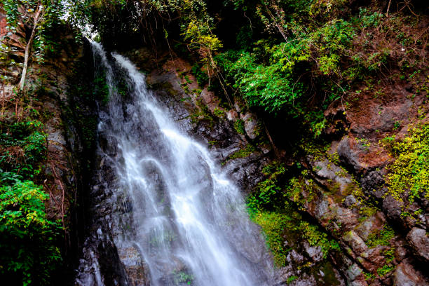 istock Sadu Chiru Waterfall/ Leimaram, Manipur 1318319149