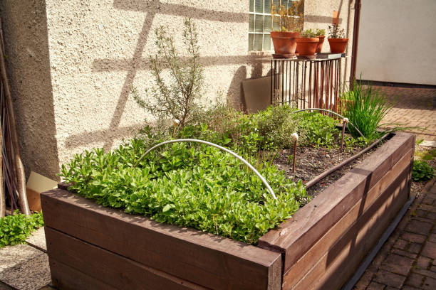 istock Raised bed with peppermint, rosemary and other herbs 1318321458