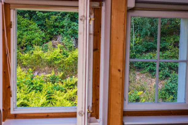istock Beautiful view from open window to garden on summer day. 1318323868