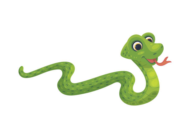 Character of green boa or anaconda snake, flat vector illustration isolated. Cartoon character of funny tropical green boa or anaconda snake, flat vector illustration isolated on white background. Comic image of smiling snake reptile animal. snake with its tongue out stock illustrations