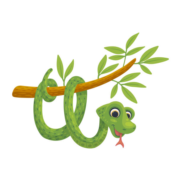 Green cartoon snake hanging from tree branch - cute reptile animal isolated on white background. Vector illustration of exotic serpent baby smiling.
