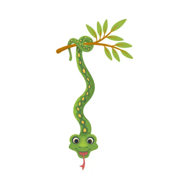 Vector illustration of Tropical snake character hanging on its tail, flat vector illustration isolated.