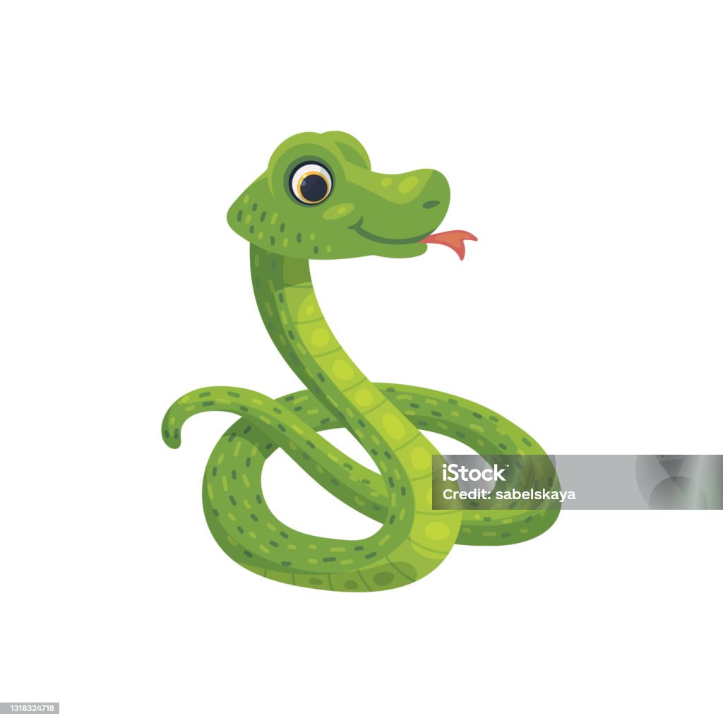 Con Rắn Màu Xanh Lá Cây Hài Hước Cuộn Tròn Trong Một Quả Bóng Minh ...