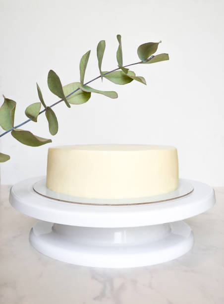 istock white cake without decor on a stand under a sprig of eucalyptus. cake with copy space 1318327524