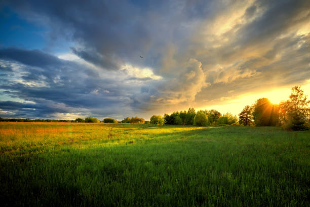 istock Green field with road and dramatic sky on sunset in summertime. 1318328487