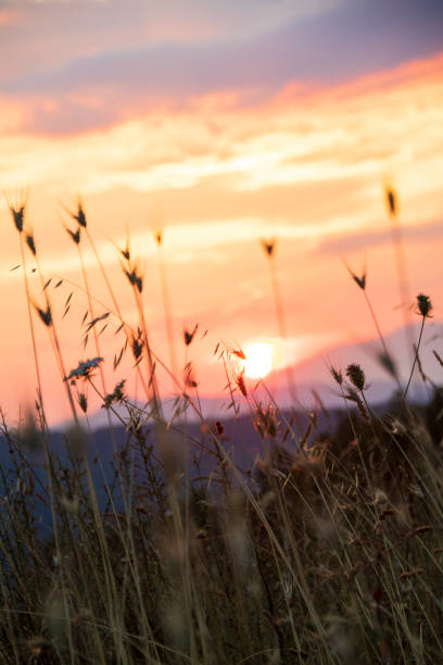 Sunset in Pollino national park, Basilicata region, Italy