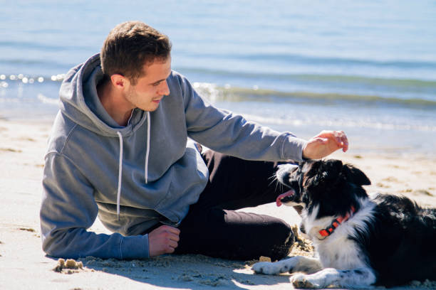 istock smiling man sitting on the beach with his dog 1318330730