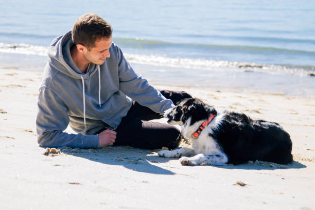 istock smiling man sitting on the beach with his dog 1318330797