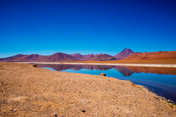 istock Salar de Tara, Atacama Desert 1318331182