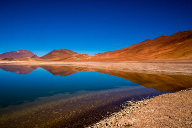 istock Salar de Tara, Atacama Desert 1318331188