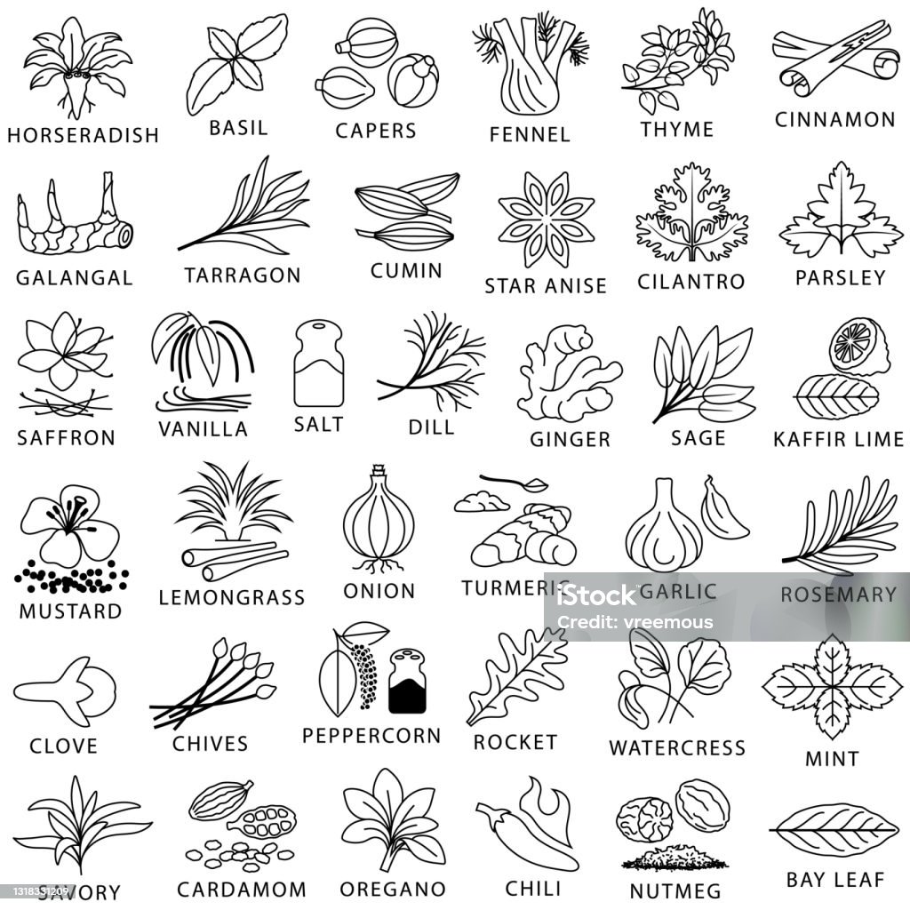 Cooking Herbs Spices And Seasoning Outline Icons Stock